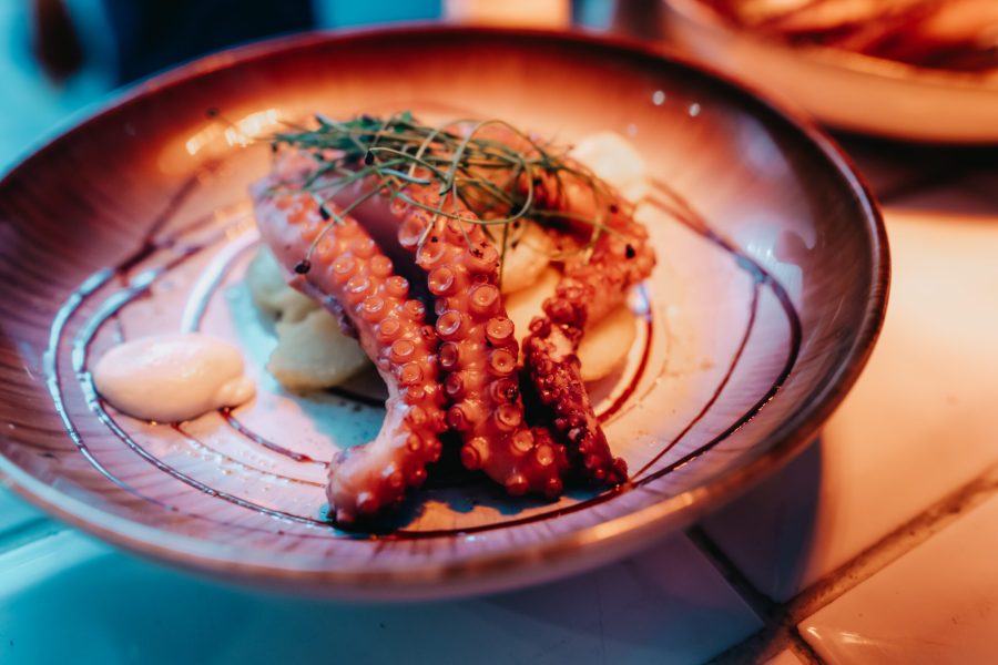 Tentacule de poulpe grillé aux haricots blancs et aux herbes