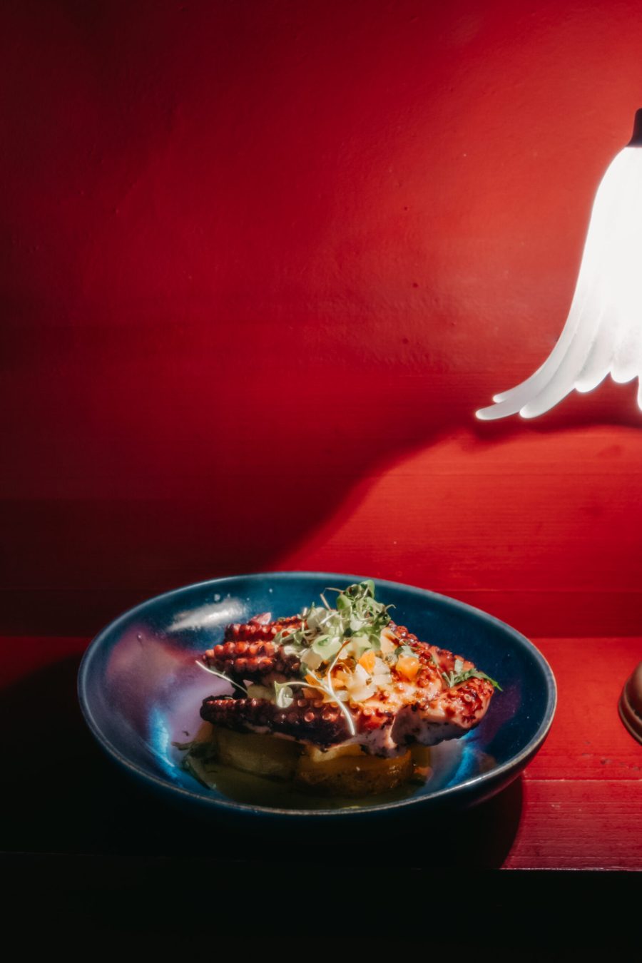 Salade de poulpe dans une assiette bleue, contre un mur rouge
